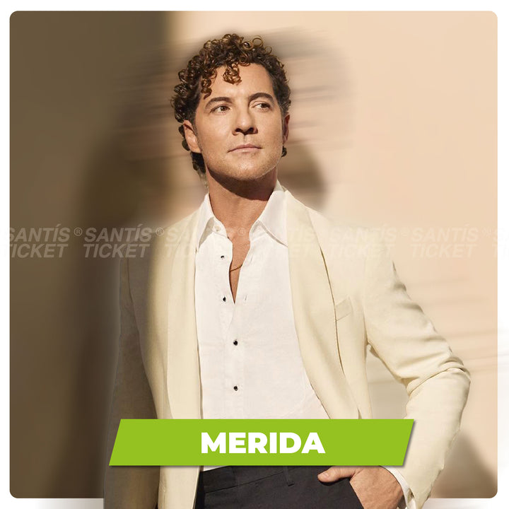 David Bisbal - Merida