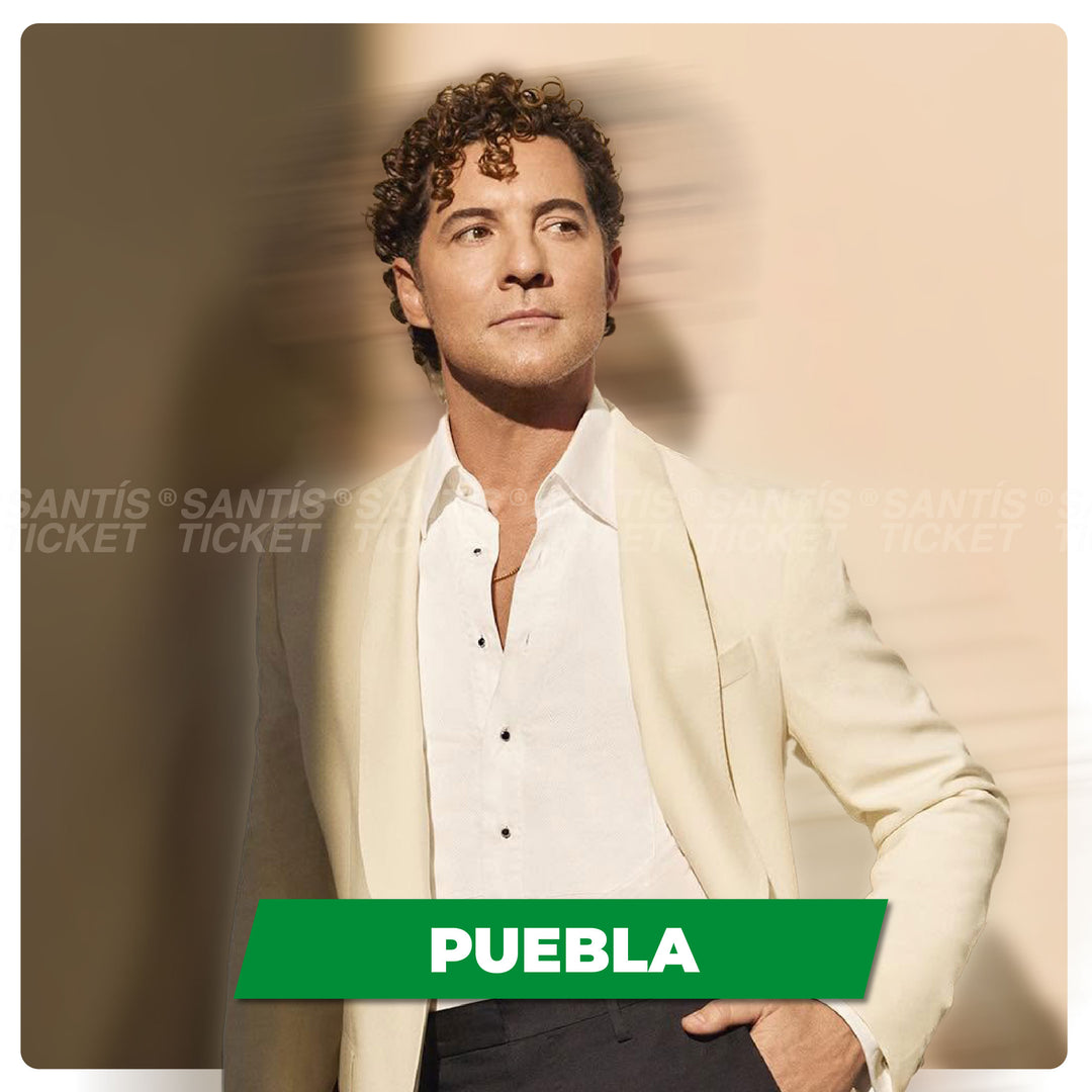 David Bisbal - Puebla