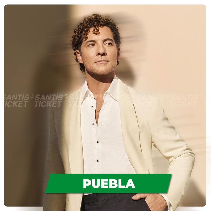 David Bisbal - Puebla