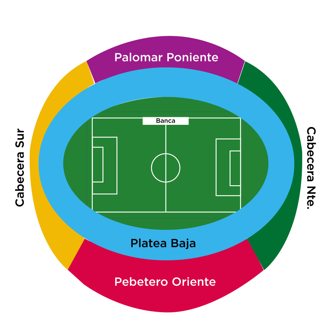 Pumas vs Cruz Azul