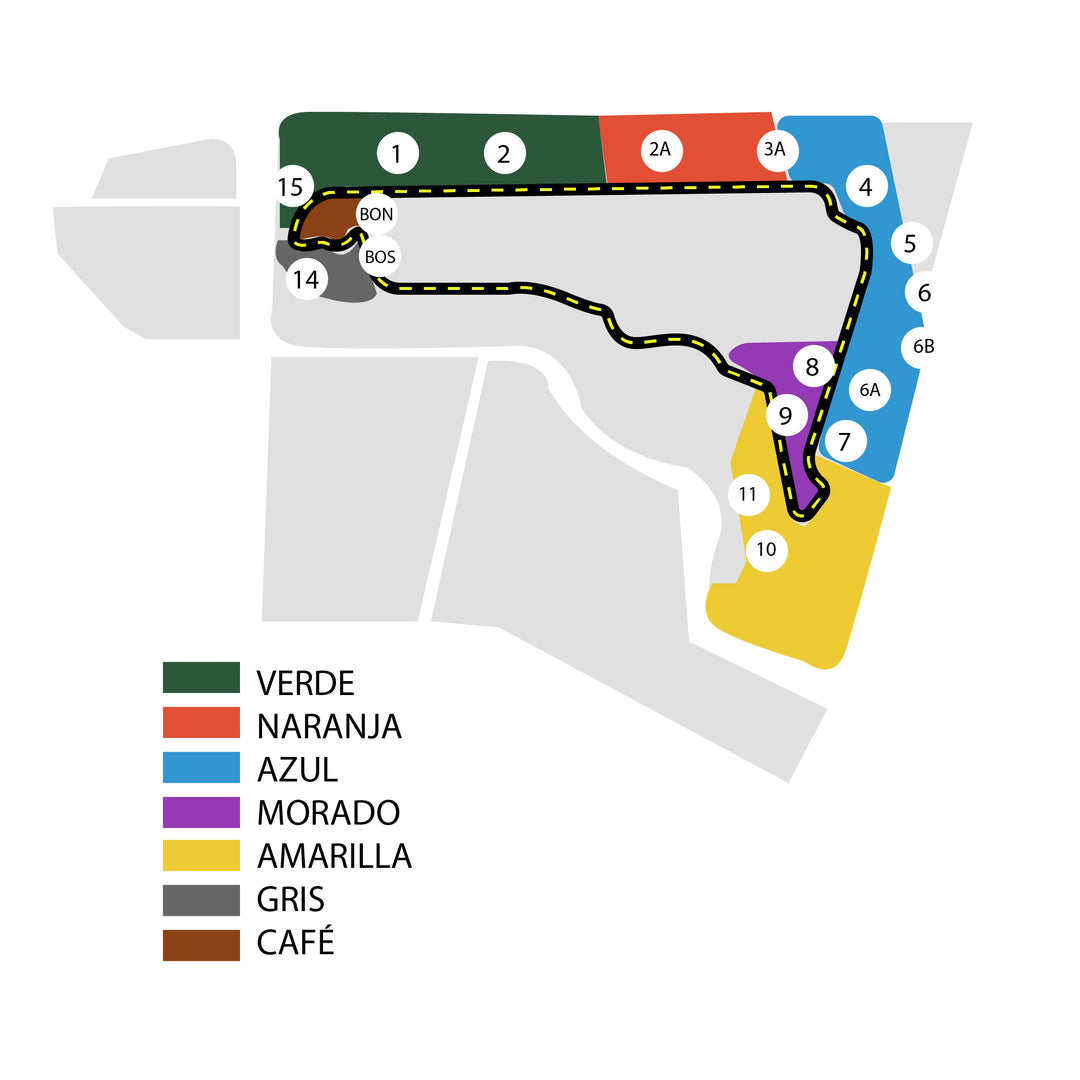 Formula 1 - CDMX