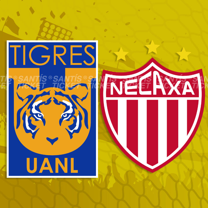 Tigres vs Necaxa
