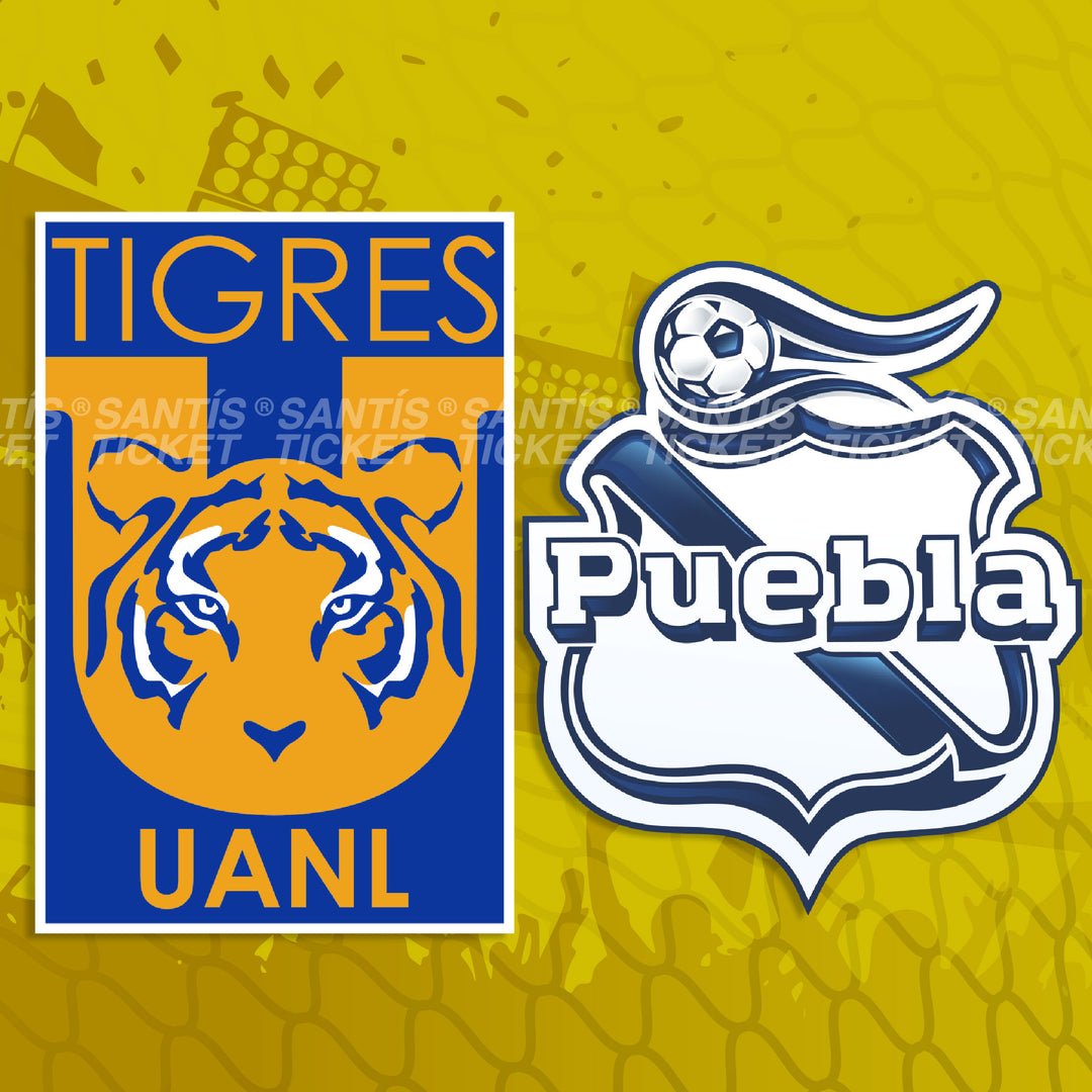 Tigres vs Puebla